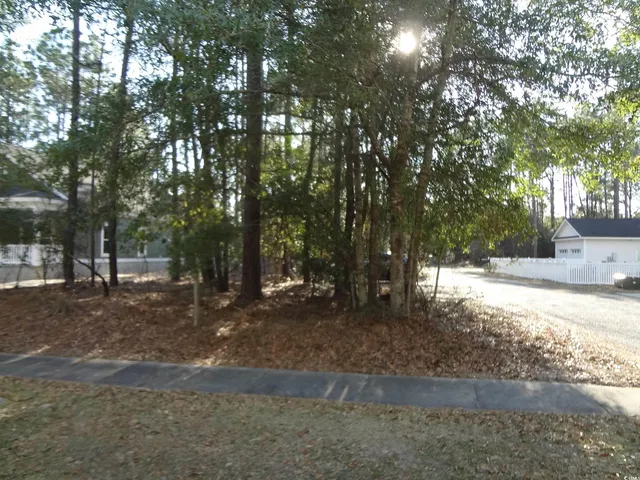 $38,000 | 40 Pineberry Drive, Georgetown, SC 29440