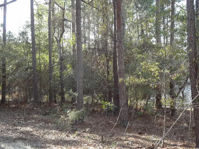 $38,000 | 40 Pineberry Drive, Georgetown, SC 29440