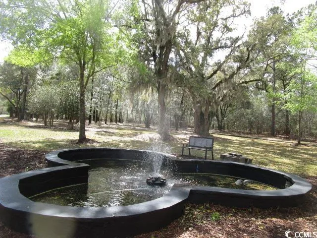 $38,000 | 40 Pineberry Drive, Georgetown, SC 29440