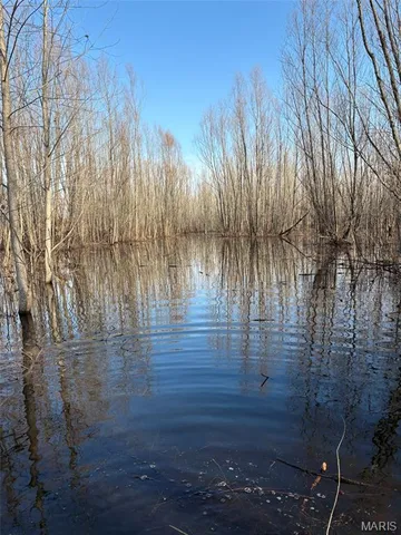 $3,250,000 | 1608 County Road 711, Matthews, MO 63867