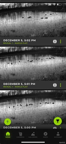 $3,250,000 | 1608 County Road 711, Matthews, MO 63867