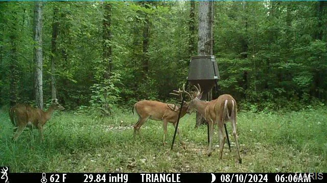 $3,250,000 | 1608 County Road 711, Matthews, MO 63867