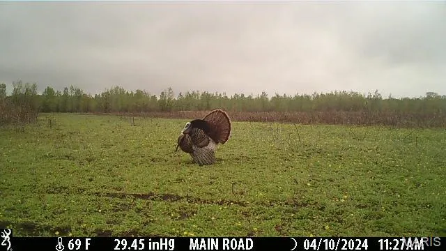 $3,250,000 | 1608 County Road 711, Matthews, MO 63867