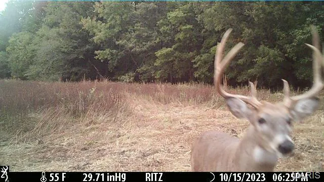 $3,250,000 | 1608 County Road 711, Matthews, MO 63867