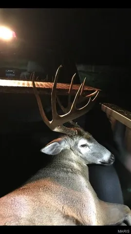 $3,250,000 | 1608 County Road 711, Matthews, MO 63867