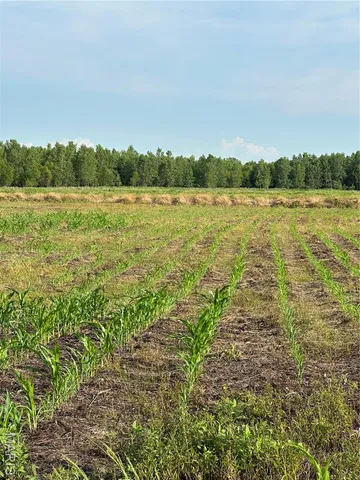 $3,250,000 | 1608 County Road 711, Matthews, MO 63867