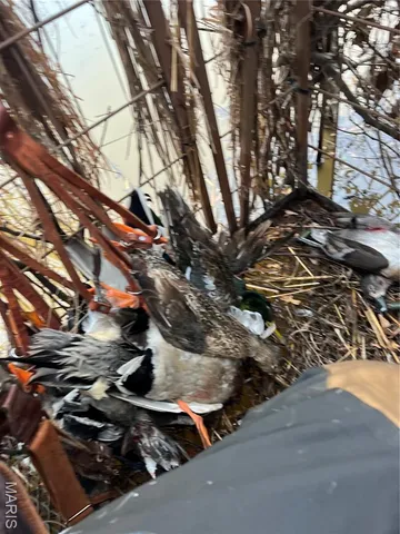 $3,250,000 | 1608 County Road 711, Matthews, MO 63867