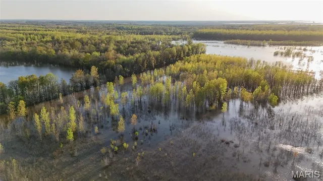 $3,250,000 | 1608 County Road 711, Matthews, MO 63867