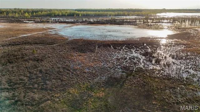 $3,250,000 | 1608 County Road 711, Matthews, MO 63867