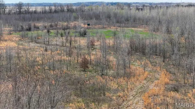 $3,250,000 | 1608 County Road 711, Matthews, MO 63867