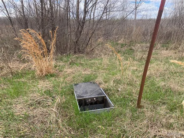 $3,250,000 | 1608 County Road 711, Matthews, MO 63867