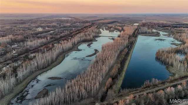 $3,250,000 | 1608 County Road 711, Matthews, MO 63867