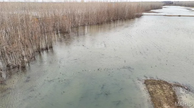 $3,250,000 | 1608 County Road 711, Matthews, MO 63867