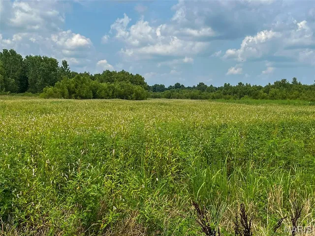 $3,250,000 | 1608 County Road 711, Matthews, MO 63867