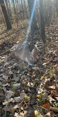 $3,250,000 | 1608 County Road 711, Matthews, MO 63867