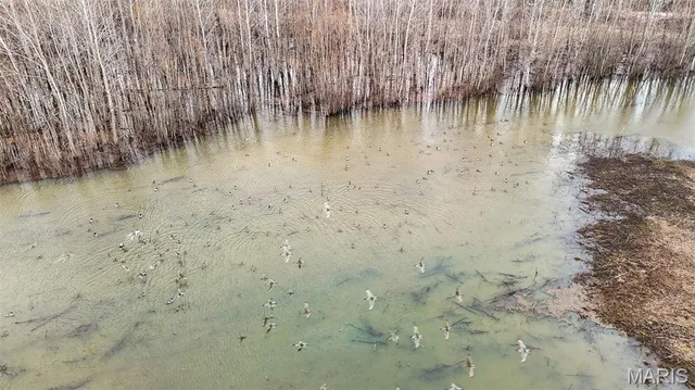 $3,250,000 | 1608 County Road 711, Matthews, MO 63867