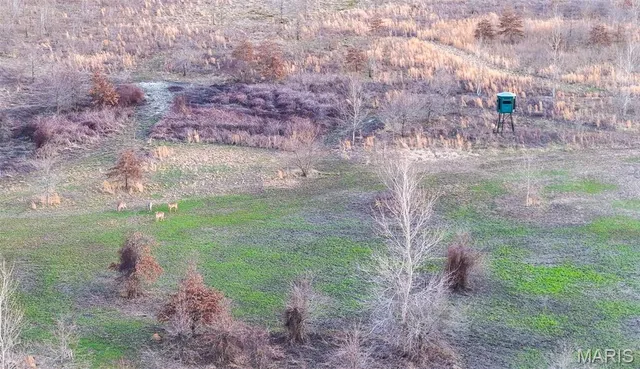 $3,250,000 | 1608 County Road 711, Matthews, MO 63867