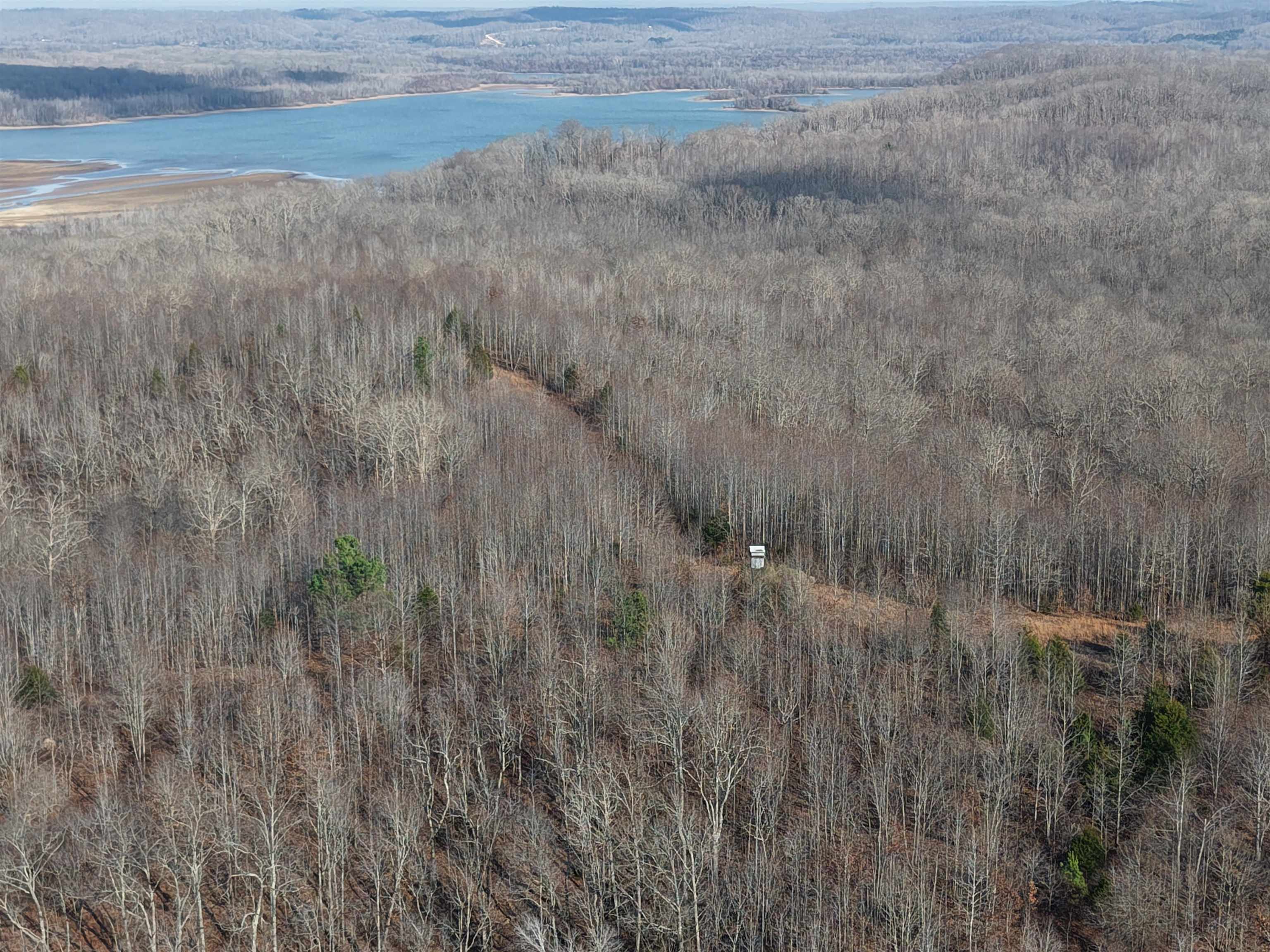 0 South Eagle Creek Road Holladay, TN 38341 - Photo 11 of 40 a view of a dry yard
