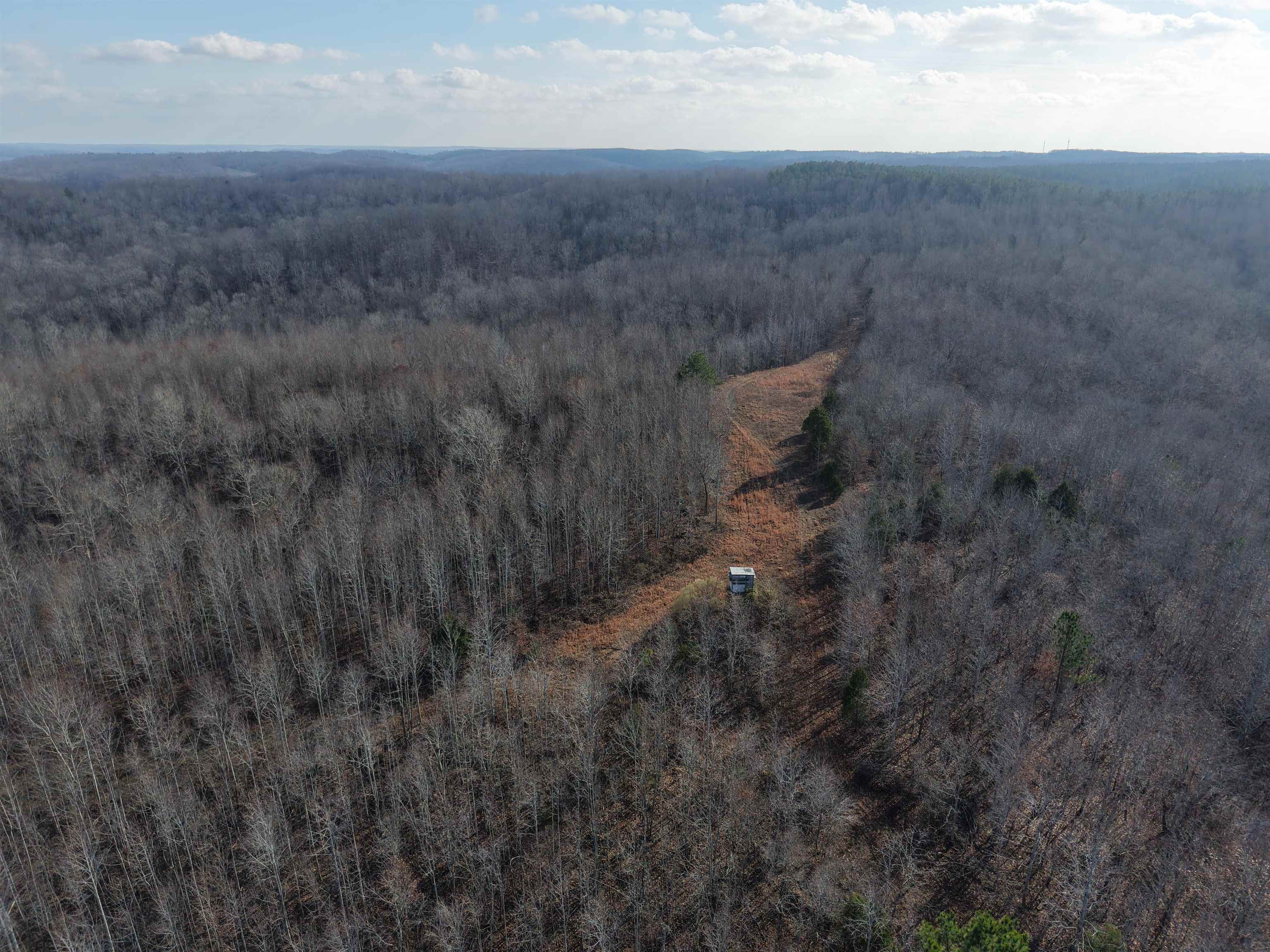 0 South Eagle Creek Road Holladay, TN 38341 - Photo 12 of 40 a view of a dry yard