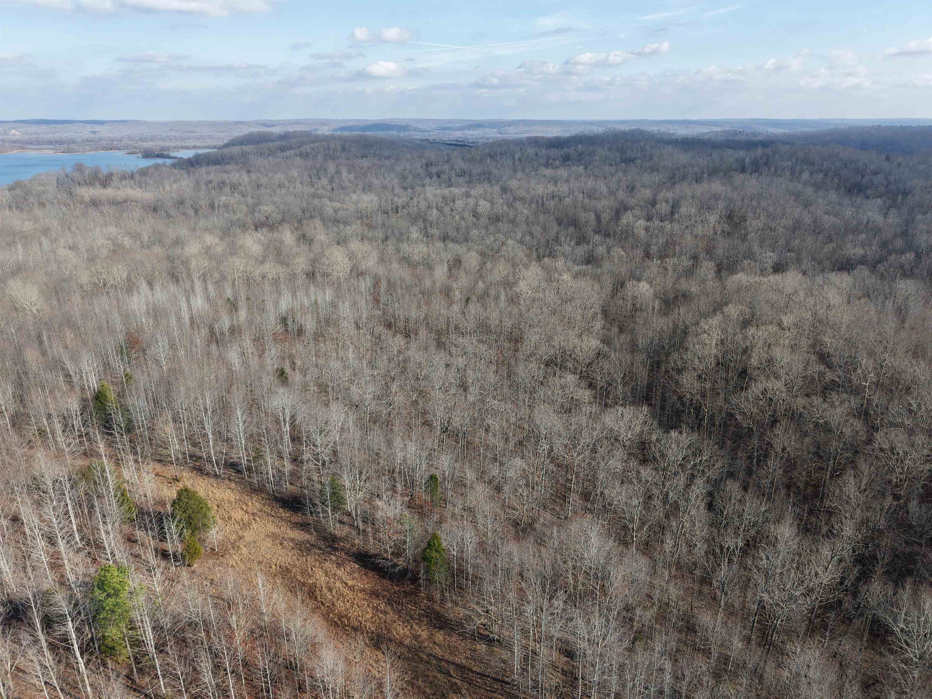 0 South Eagle Creek Road Holladay, TN 38341 - Photo 13 of 40 a view of a dry yard