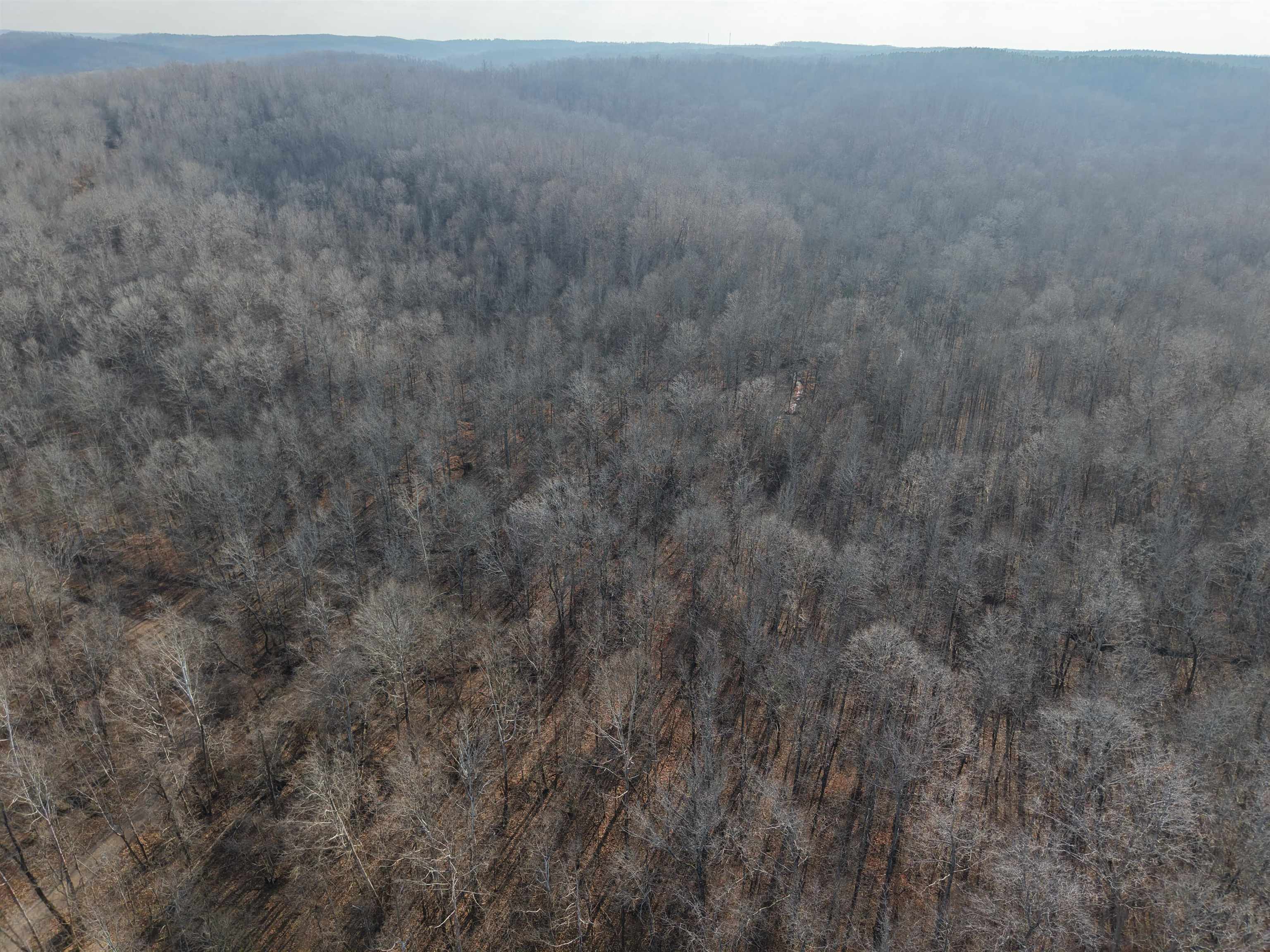 0 South Eagle Creek Road Holladay, TN 38341 - Photo 14 of 40 a view of middle of the house