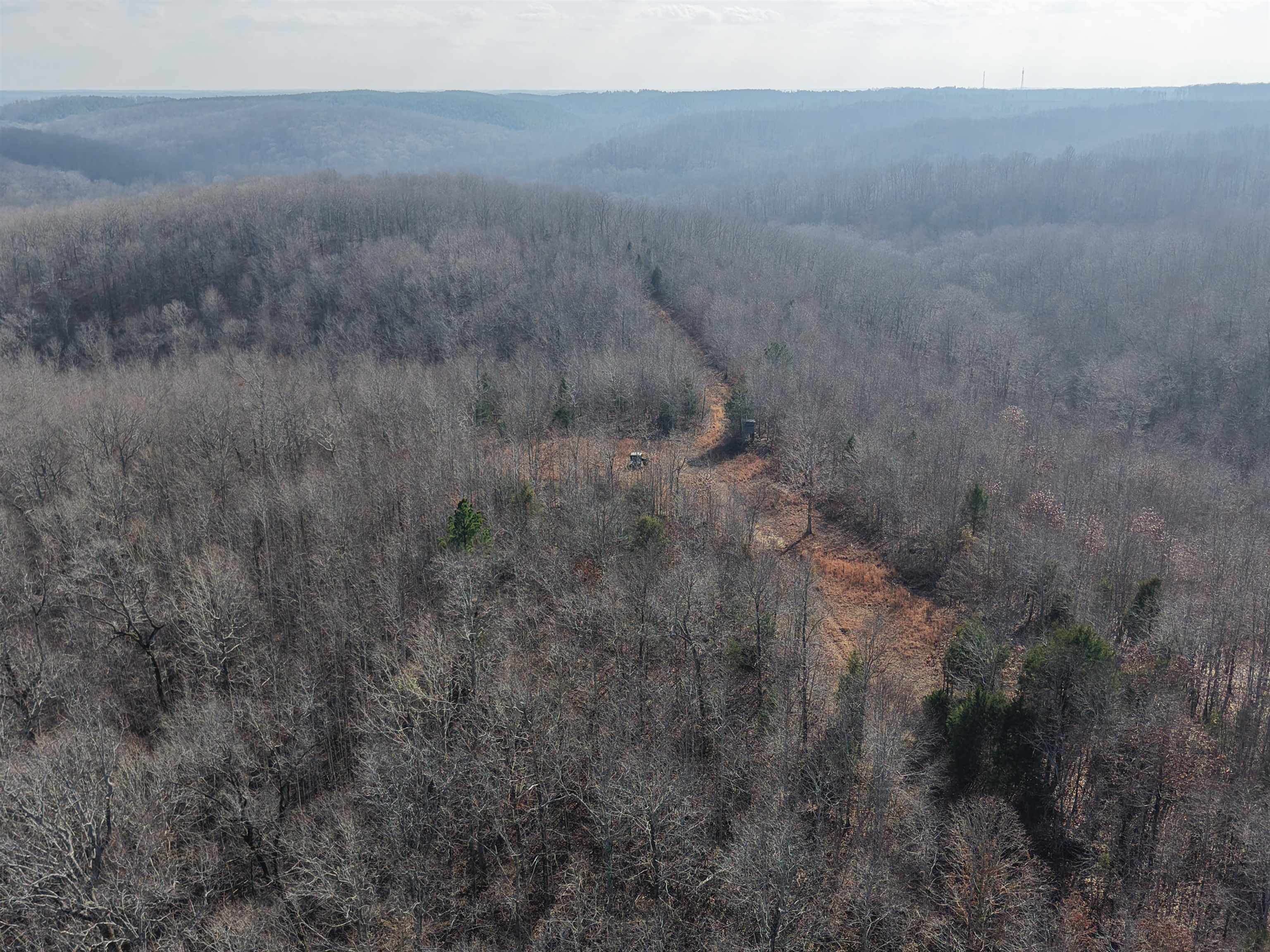 0 South Eagle Creek Road Holladay, TN 38341 - Photo 18 of 40 a view of a dry yard with green space