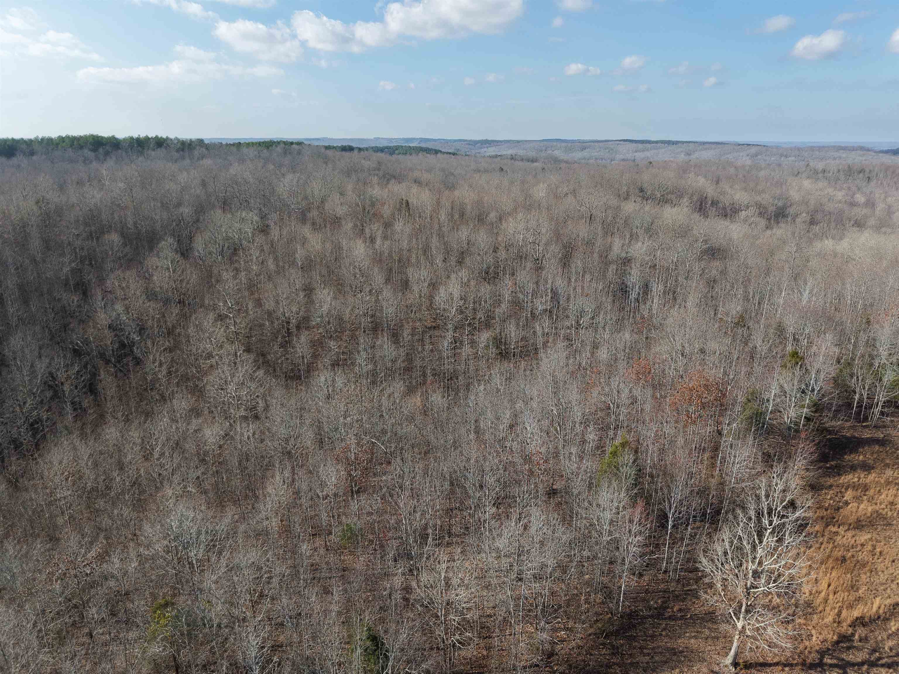 0 South Eagle Creek Road Holladay, TN 38341 - Photo 2 of 40 a view of lot of trees