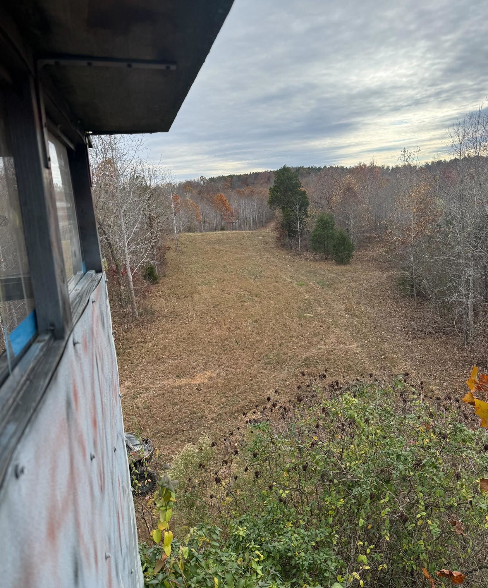 0 South Eagle Creek Road Holladay, TN 38341 - Photo 23 of 40 a view of a dry yard with wooden fence