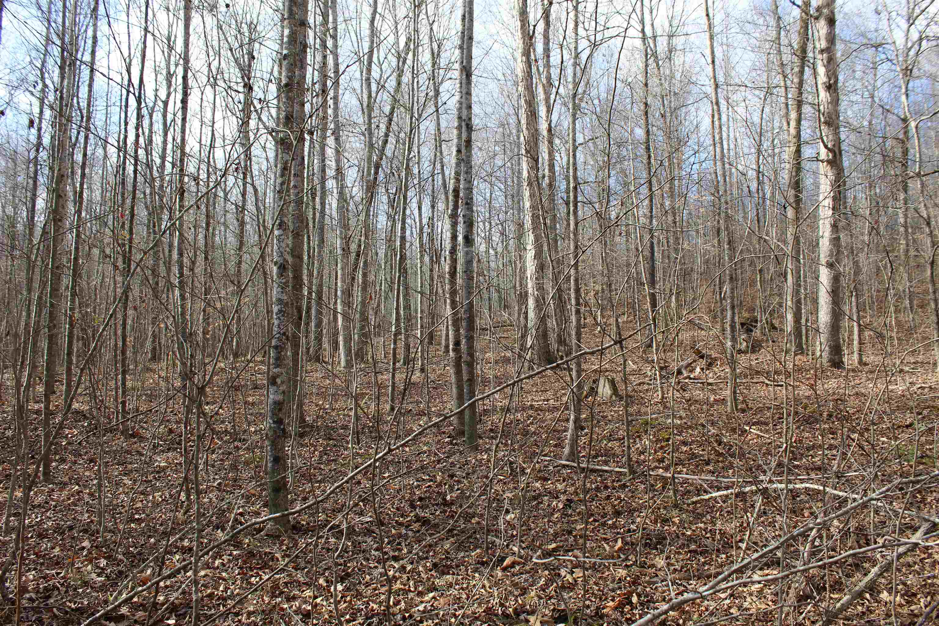 0 South Eagle Creek Road Holladay, TN 38341 - Photo 26 of 40 a view of a backyard of the house