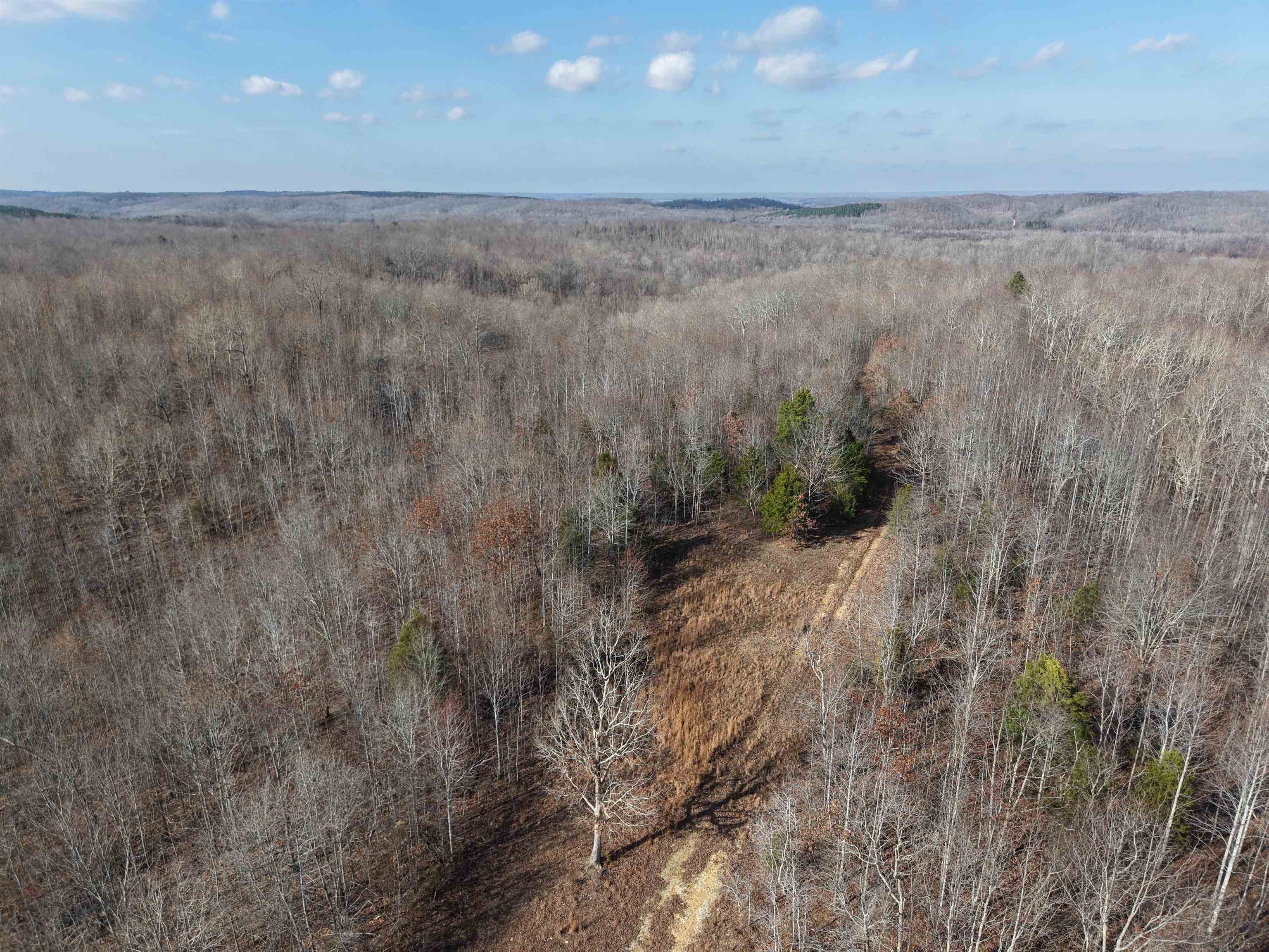 0 South Eagle Creek Road Holladay, TN 38341 - Photo 3 of 40