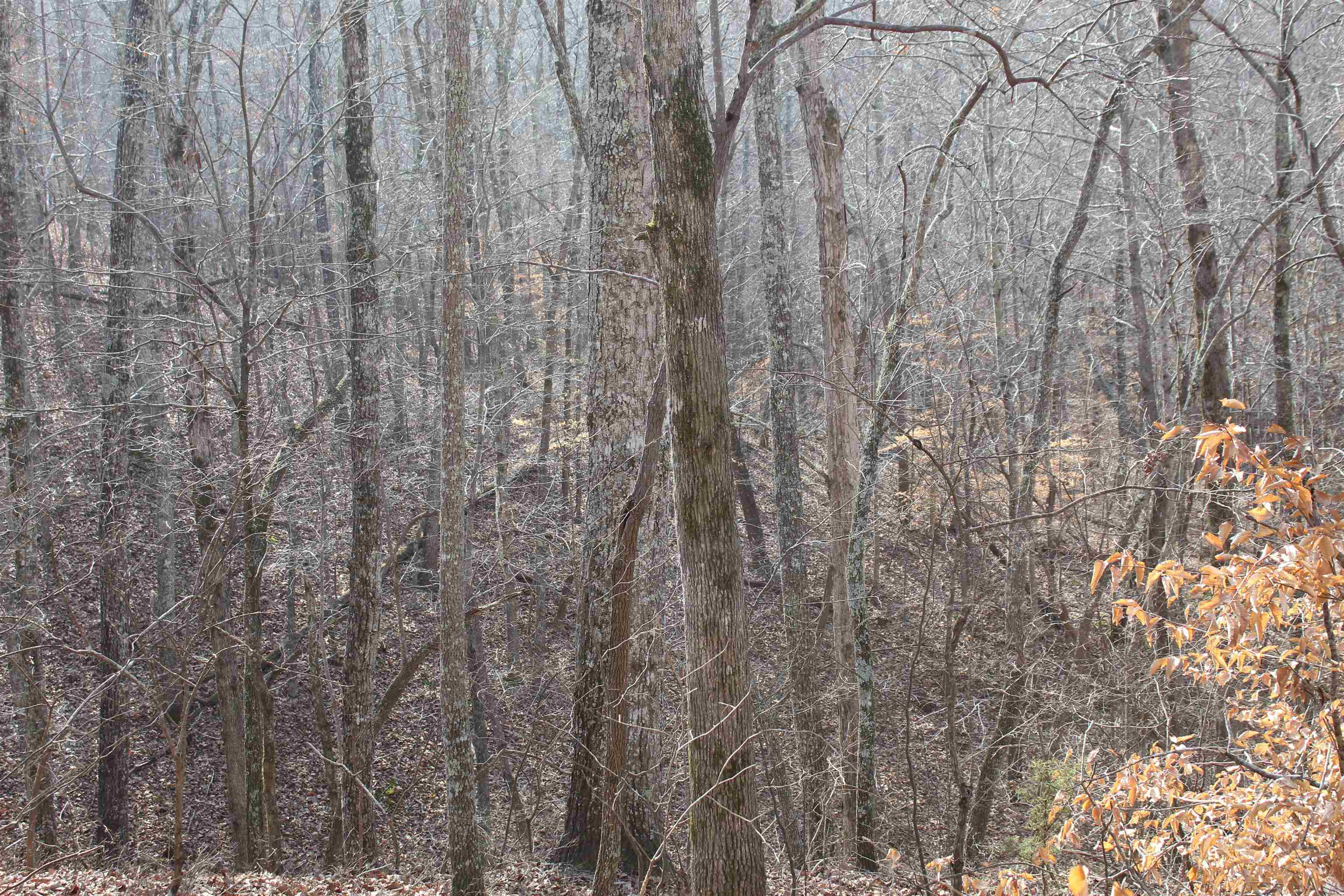 0 South Eagle Creek Road Holladay, TN 38341 - Photo 34 of 40 a close up view of shower