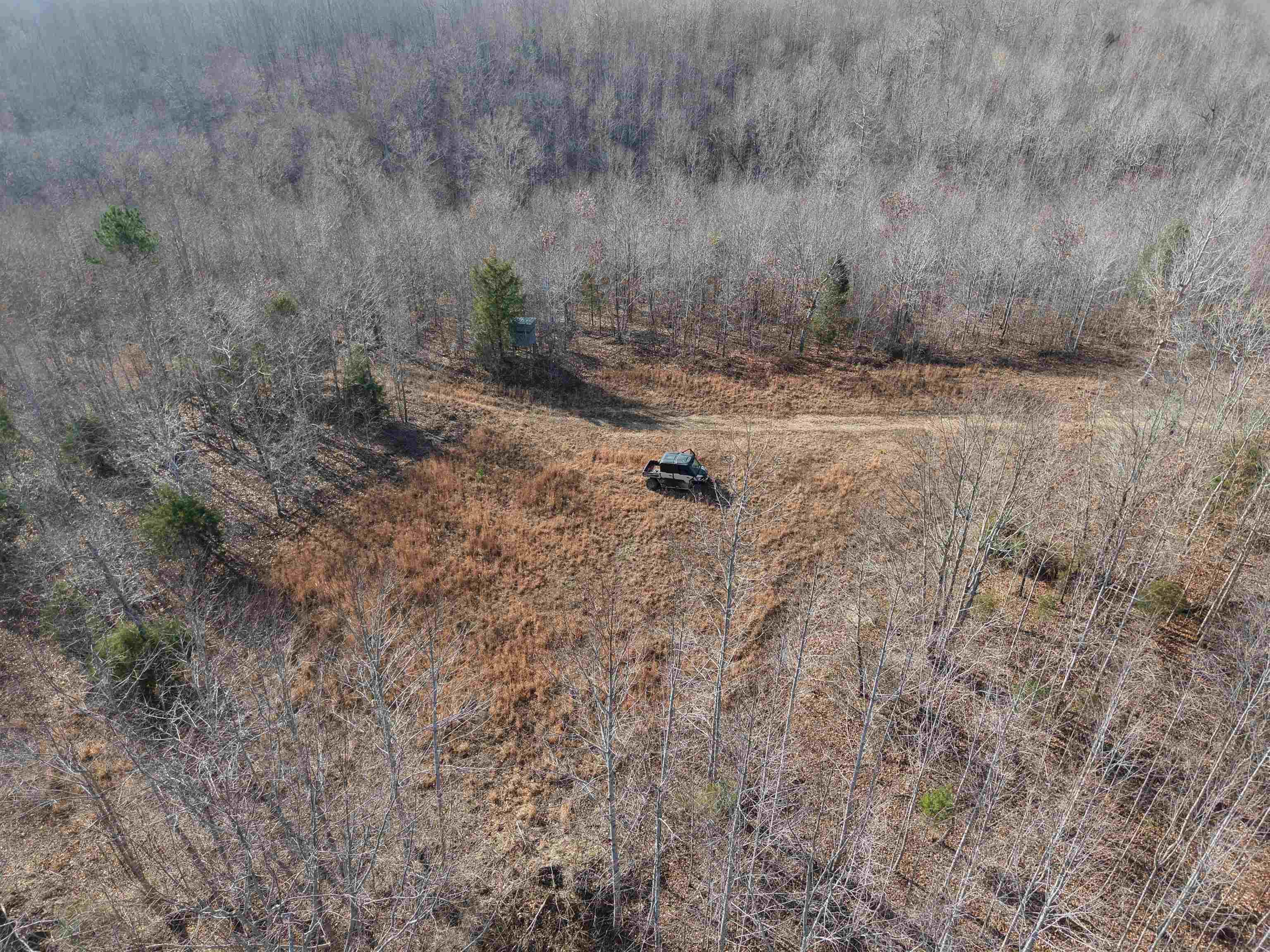 0 South Eagle Creek Road Holladay, TN 38341 - Photo 4 of 40 a view of a dry yard