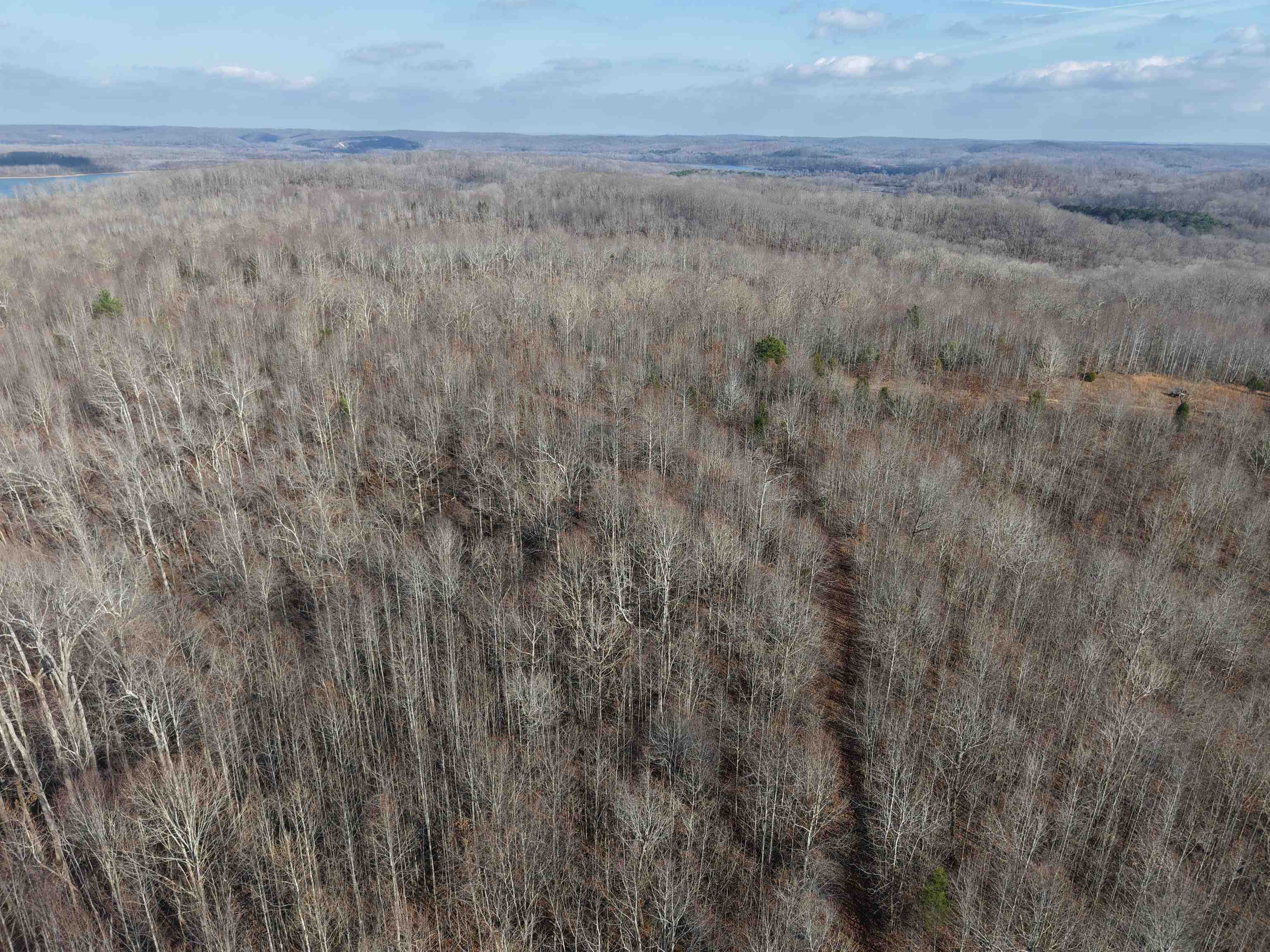 0 South Eagle Creek Road Holladay, TN 38341 - Photo 5 of 40 a view of a yard