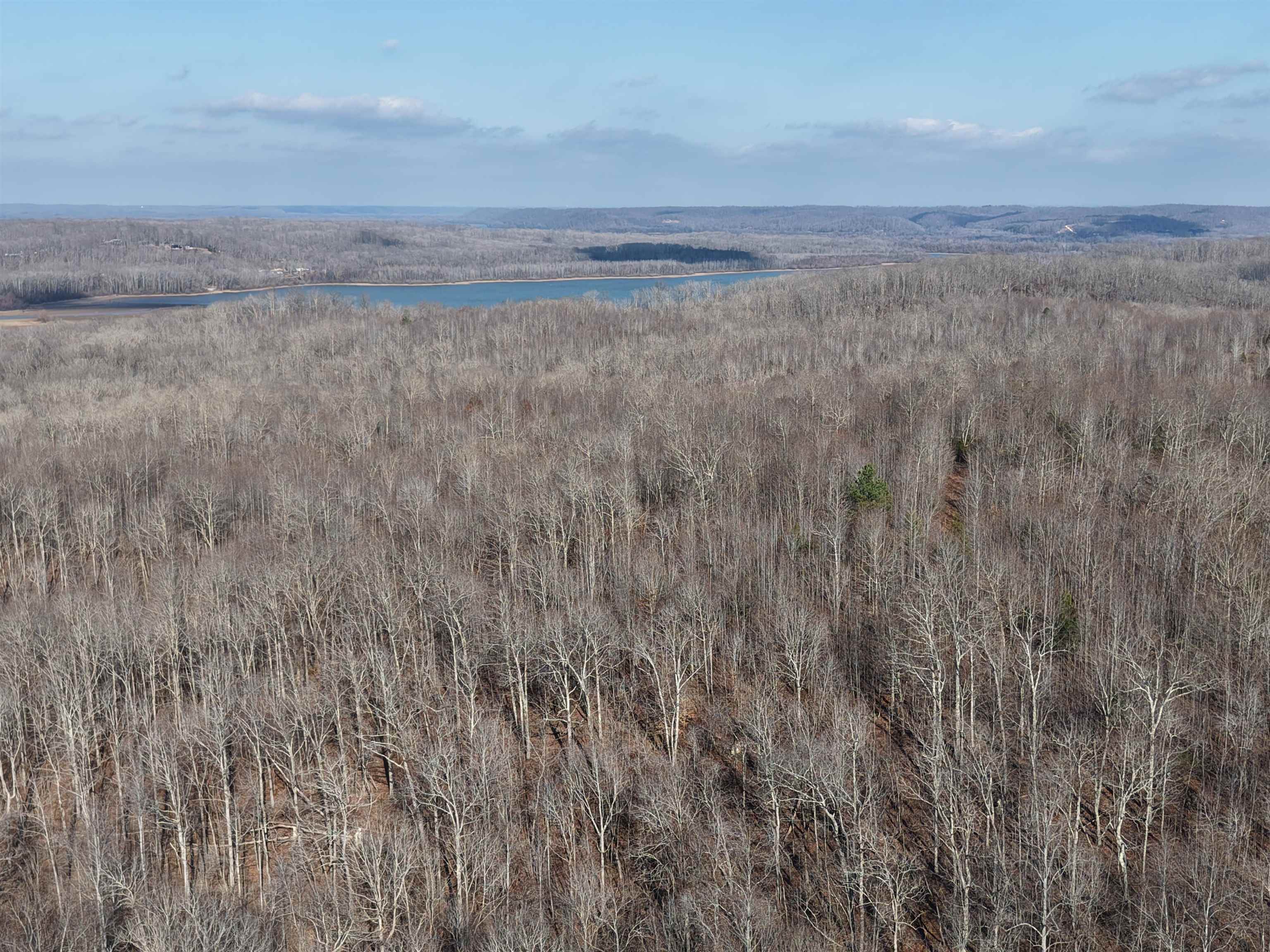 0 South Eagle Creek Road Holladay, TN 38341 - Photo 6 of 40 a view of an ocean beach and mountain