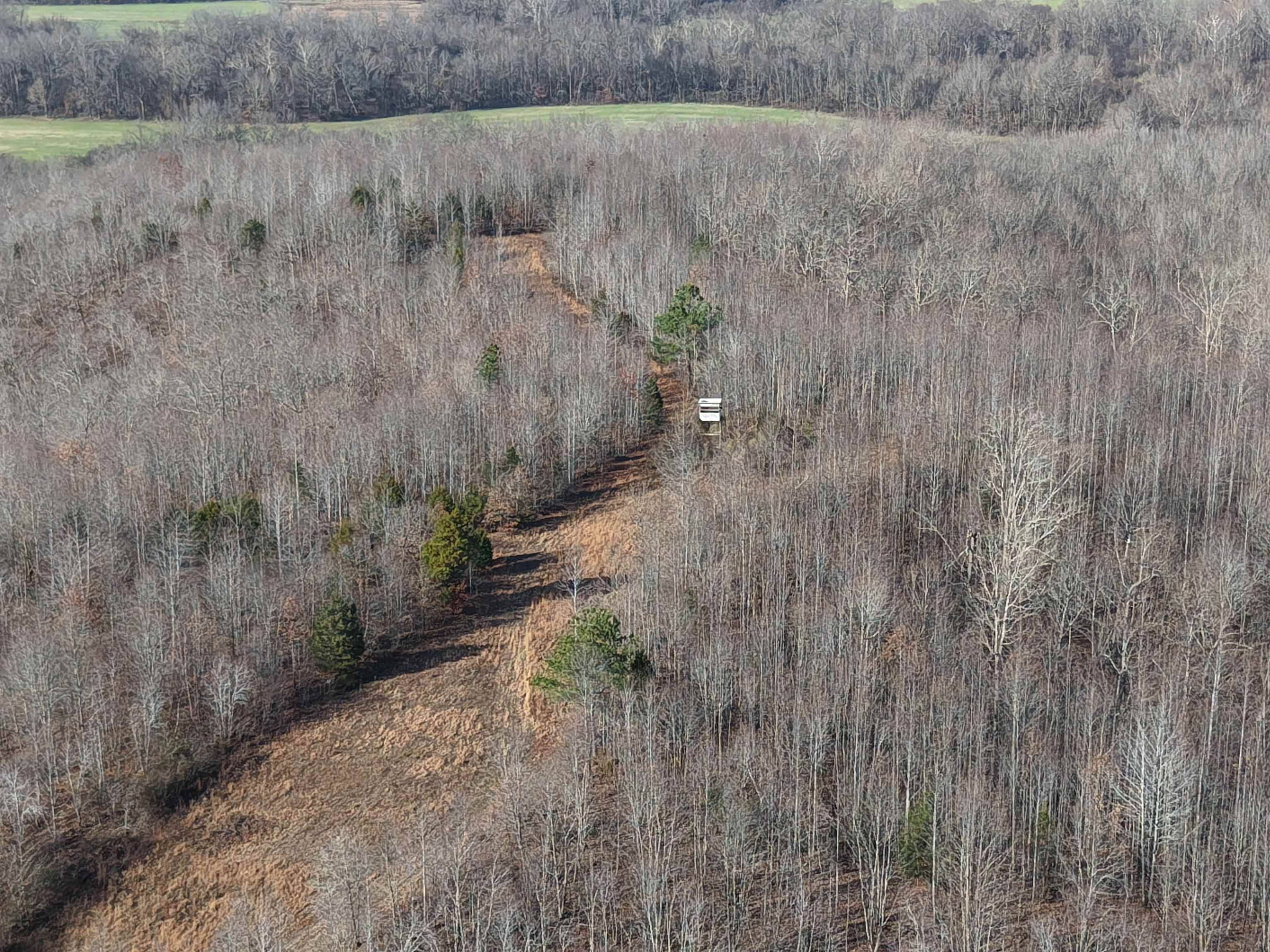 0 South Eagle Creek Road Holladay, TN 38341 - Photo 9 of 40 a view of a dry yard with trees