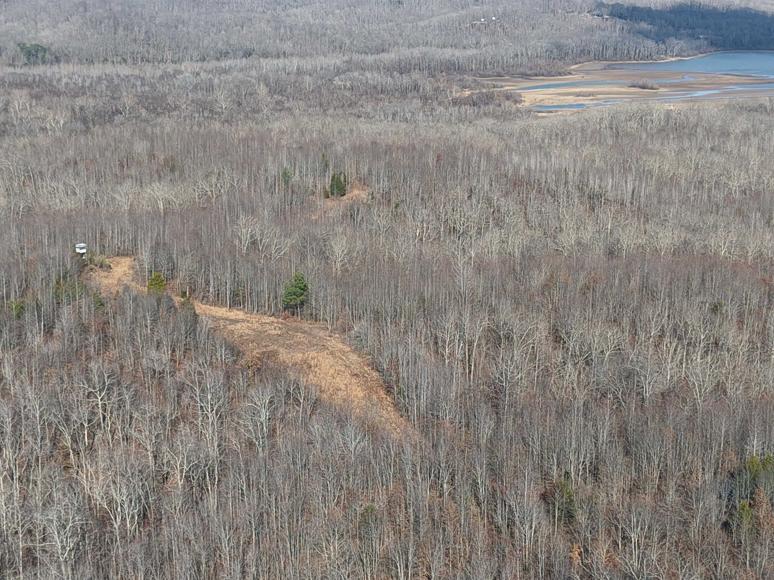 0 South Eagle Creek Road Holladay, TN 38341 - Photo 10 of 40 a view of a dry yard