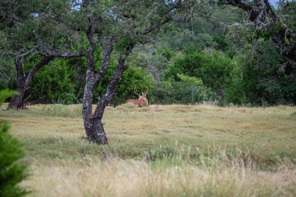 0 Elrincon Road Mountain Home, TX 78058 - Photo 13 of 20