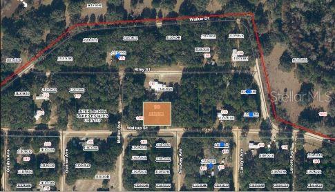 116 Walkup Street Interlachen, FL 32148 - Photo 4 of 7