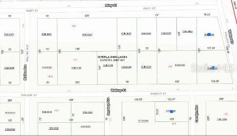 116 Walkup Street Interlachen, FL 32148 - Photo 5 of 7