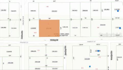 116 Walkup Street Interlachen, FL 32148 - Photo 6 of 7