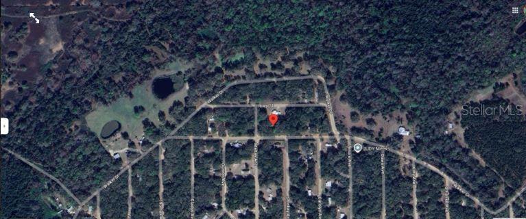 116 Walkup Street Interlachen, FL 32148 - Photo 7 of 7