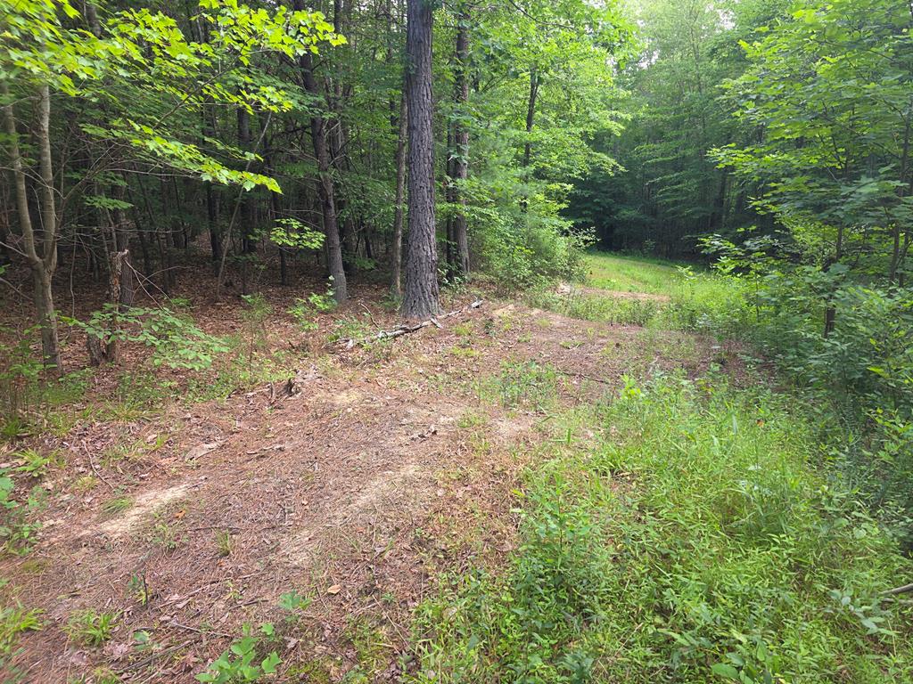 1408 Piney Mountain Road Appomattox, VA 24522 - Photo 68 of 85 Gallery Image 68