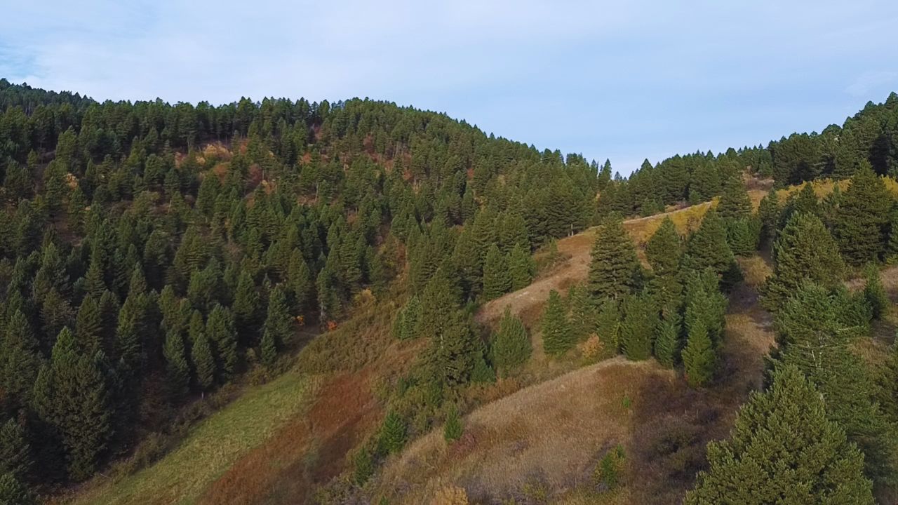 Nhn Chestnut Road Bozeman, MT 59715 - Photo 14 of 27 Gallery Image 14