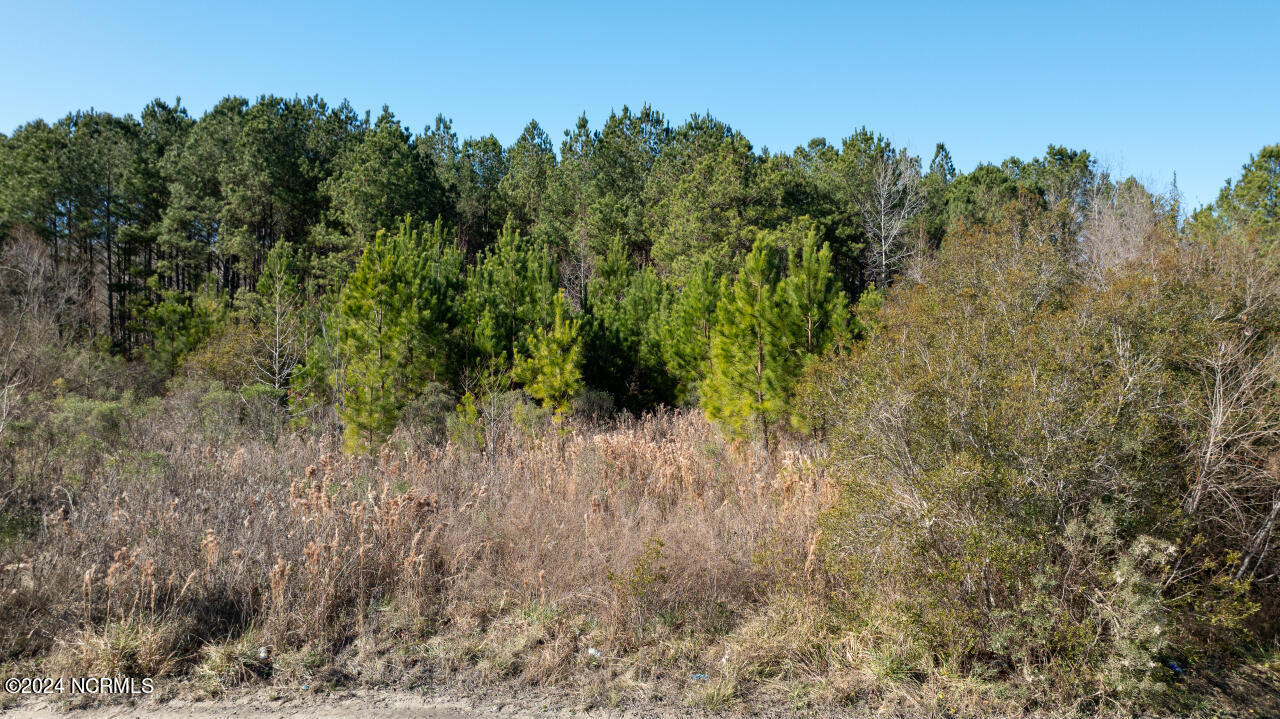 91 Rockfish Lake Road Maple Hill, NC 28454 - Photo 52 of 69 52