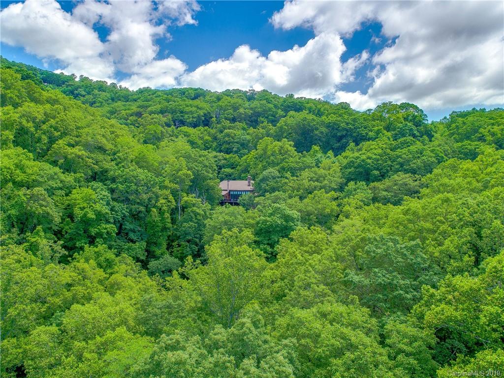 136 High Rock Ridge Drive Landrum, SC 29356 - Photo 11 of 44 a view of a lush green forest with lots of trees