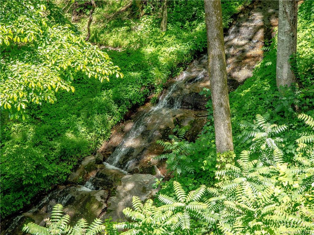136 High Rock Ridge Drive Landrum, SC 29356 - Photo 14 of 44 a view of a lush green forest with lots of trees