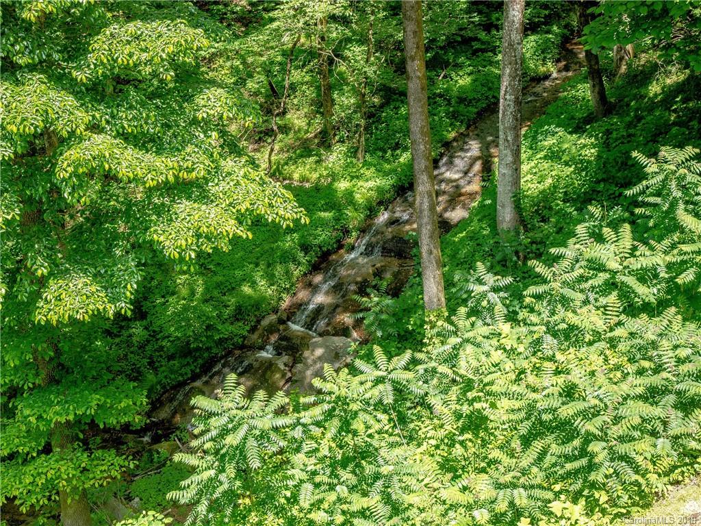136 High Rock Ridge Drive Landrum, SC 29356 - Photo 15 of 44 a view of a lush green forest