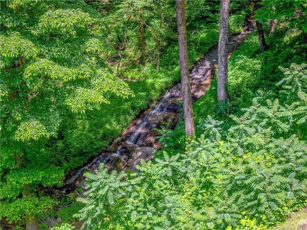 136 High Rock Ridge Drive Landrum, SC 29356 - Photo 44 of 44 a lush green forest with lots of trees