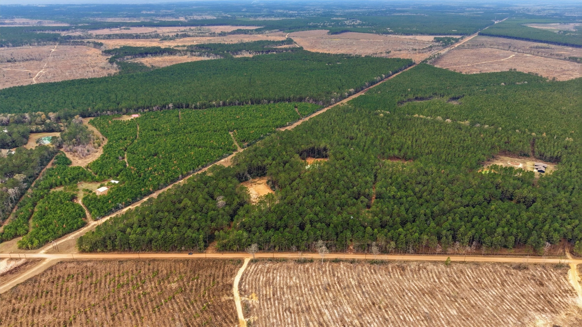 1208 Holly Grove Road Livingston, TX 77351 - Photo 11 of 13 a view of a green yard next to a lake