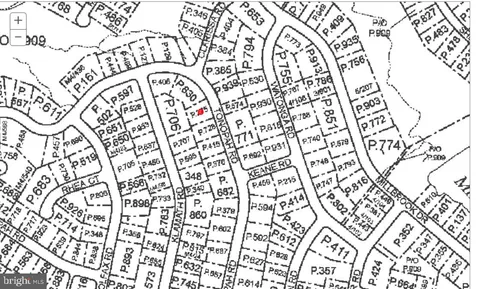 a view of grapes plant